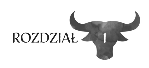 Zrzut ekranu 2025-09-11 o 19.47.59